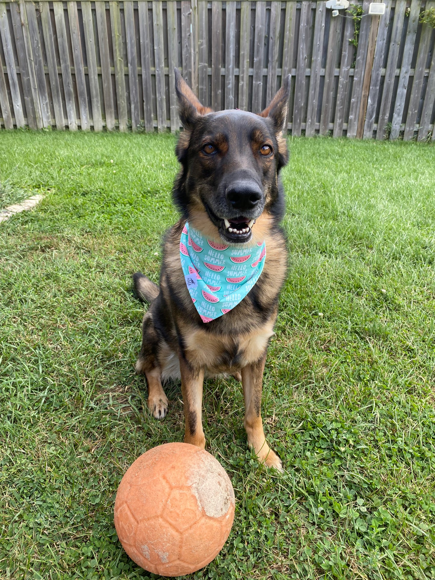 "Hello Summer" Pet Bandana