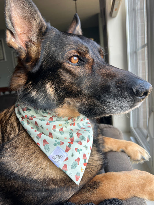 “Springtime Sprouts” Pet Bandana