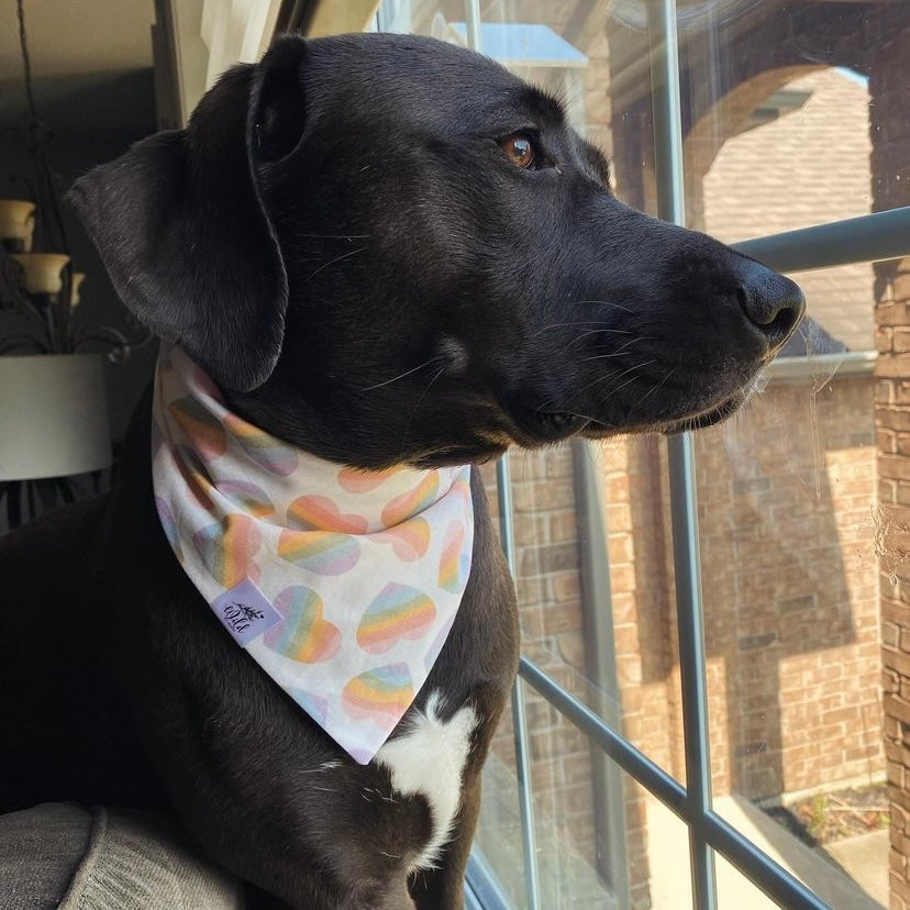 "Loveburst" Pet Bandana
