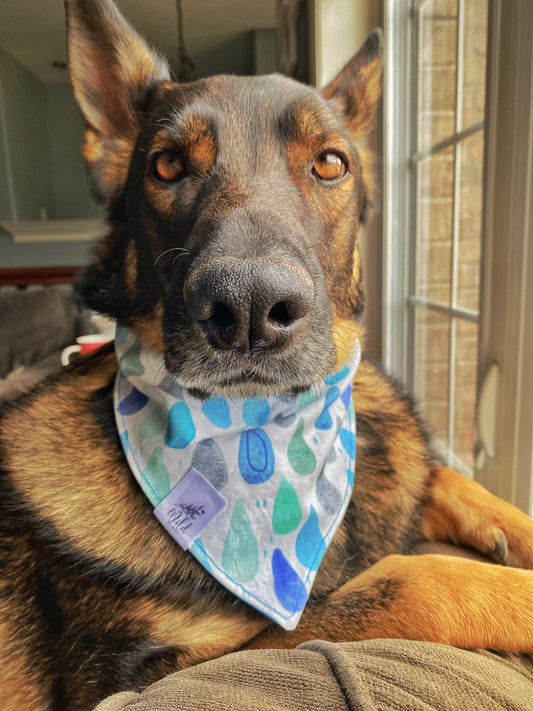 "Blue Skies & Raindrops” Pet Bandana