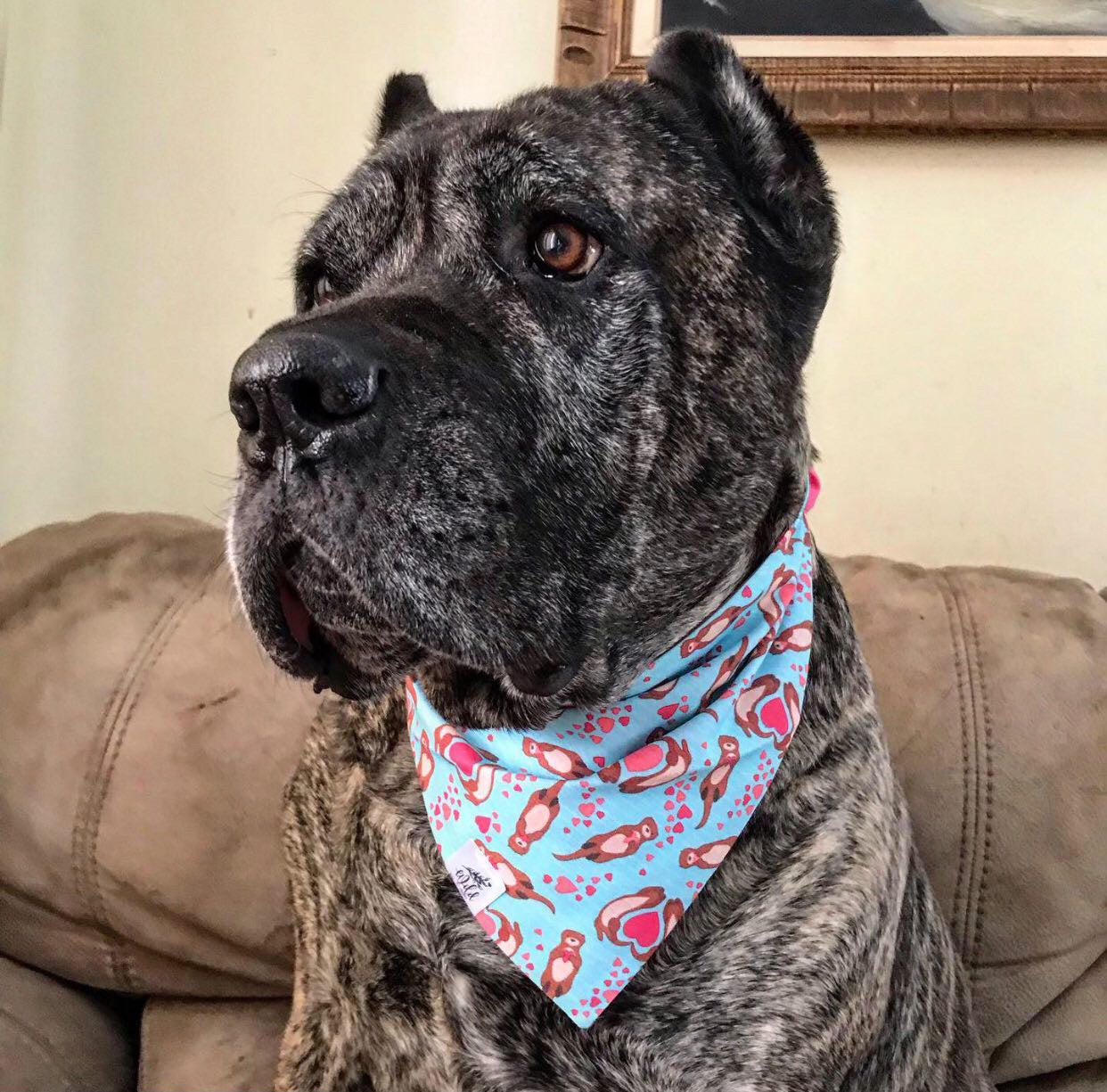 "Otterly in Love" Pet Bandana