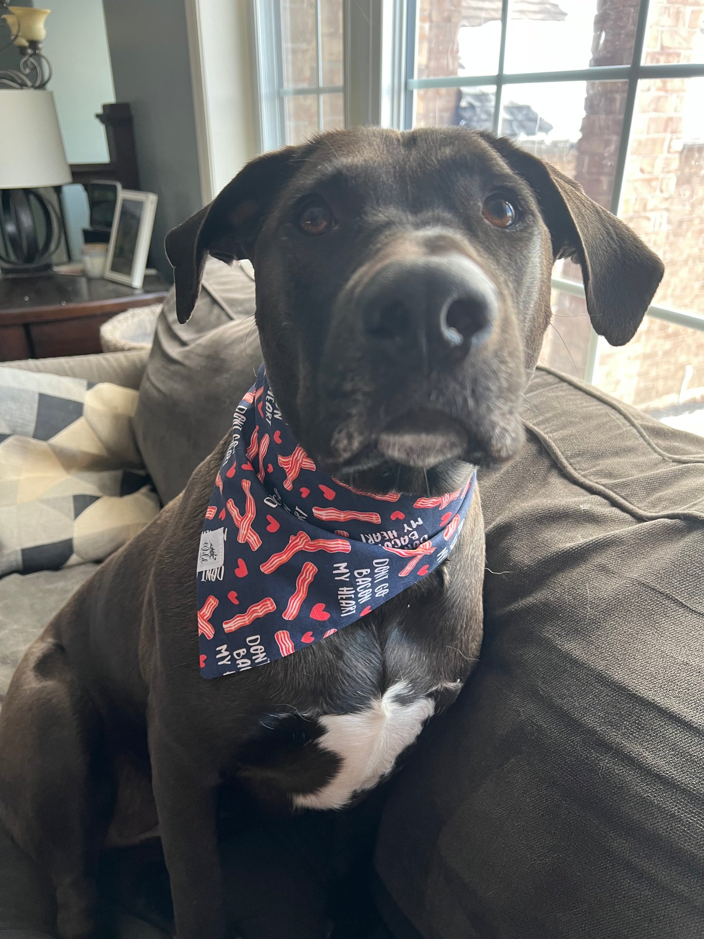 "Bacon My Heart" Pet Bandana