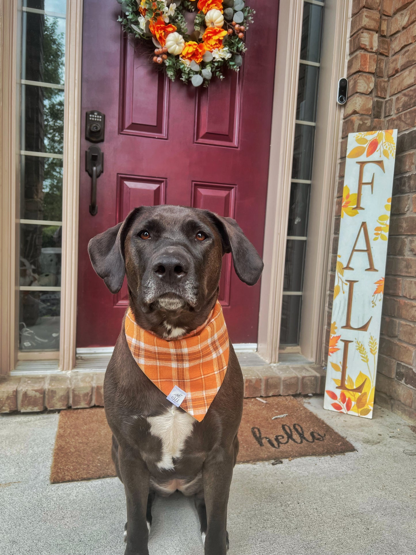 “Cider & Smoke Plaid” Pet Bandana