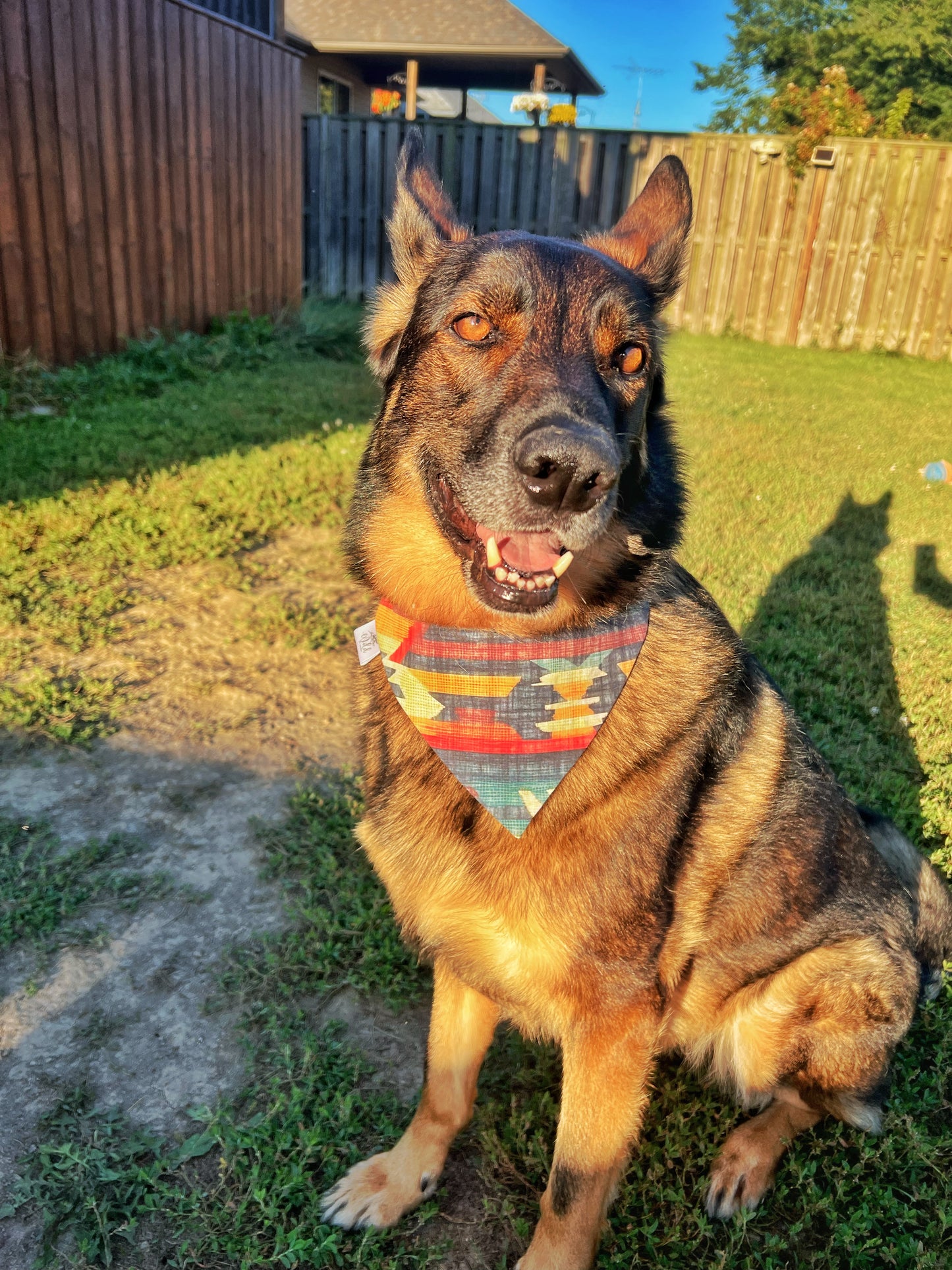 “Sundance Trails” Pet Bandana