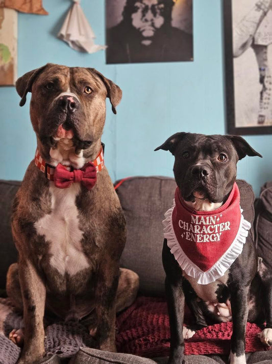 "Main Character In Pink" Bundle (Bandana & Bow)