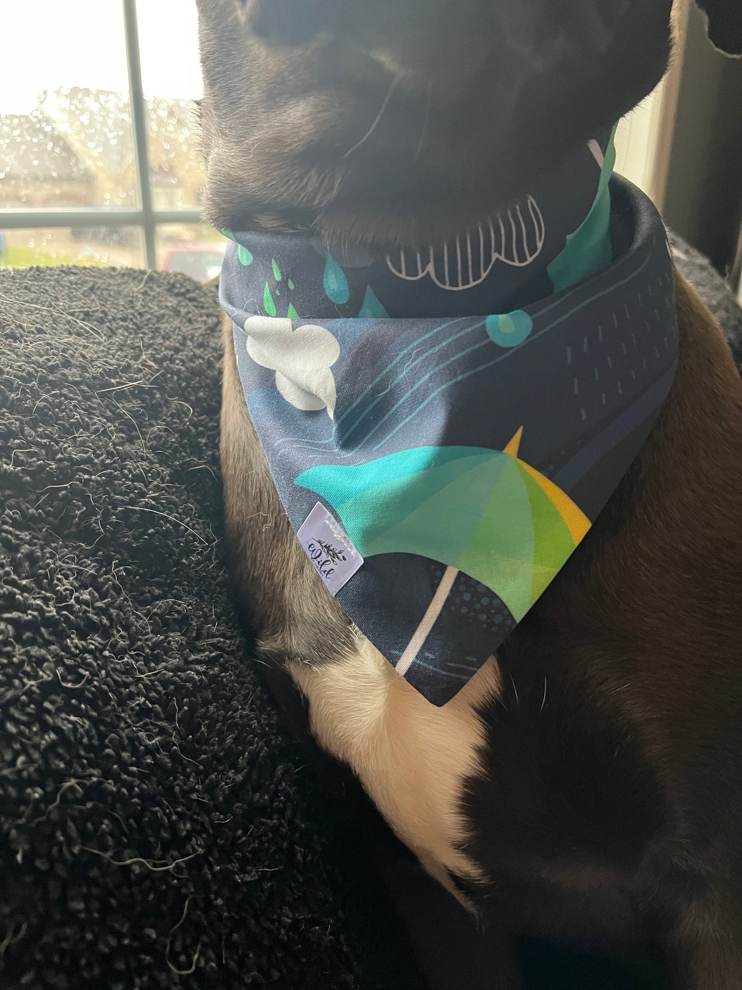 “Stormy Skies” Pet Bandana