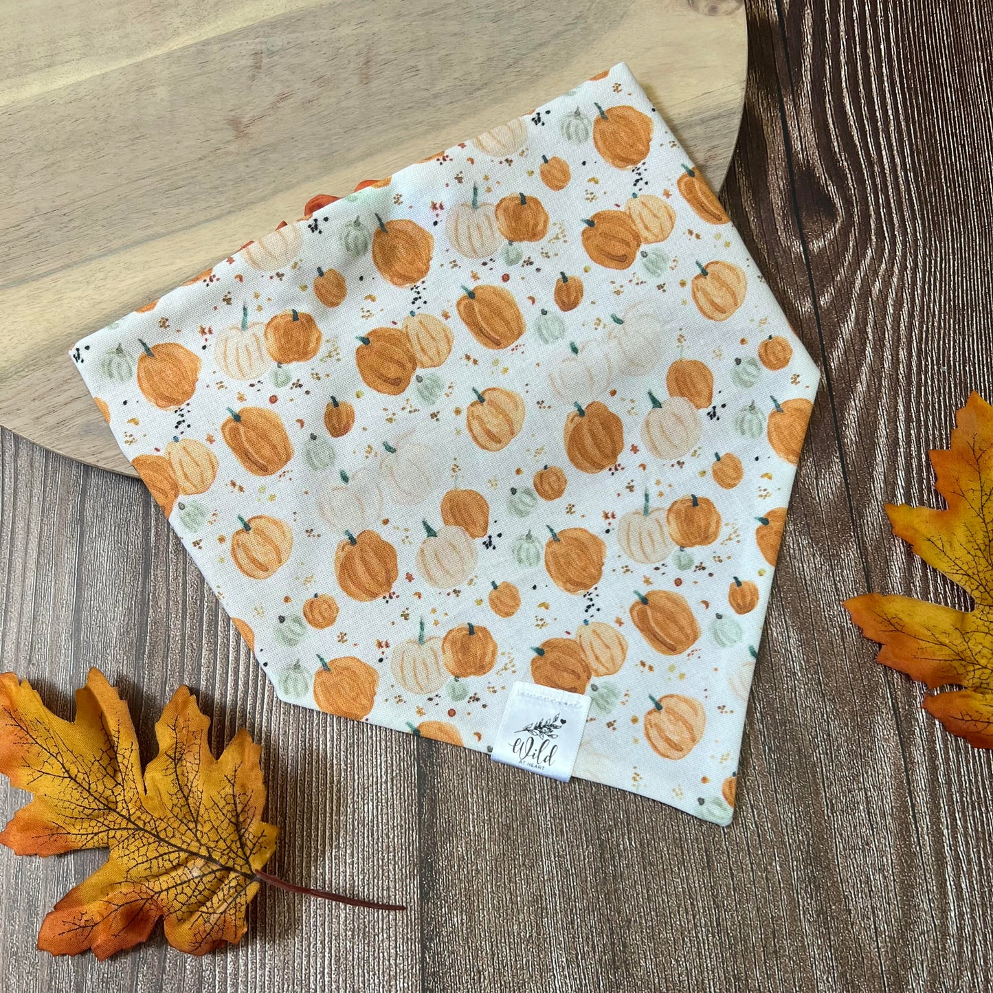 “Pumpkin Patch” Pet Bandana