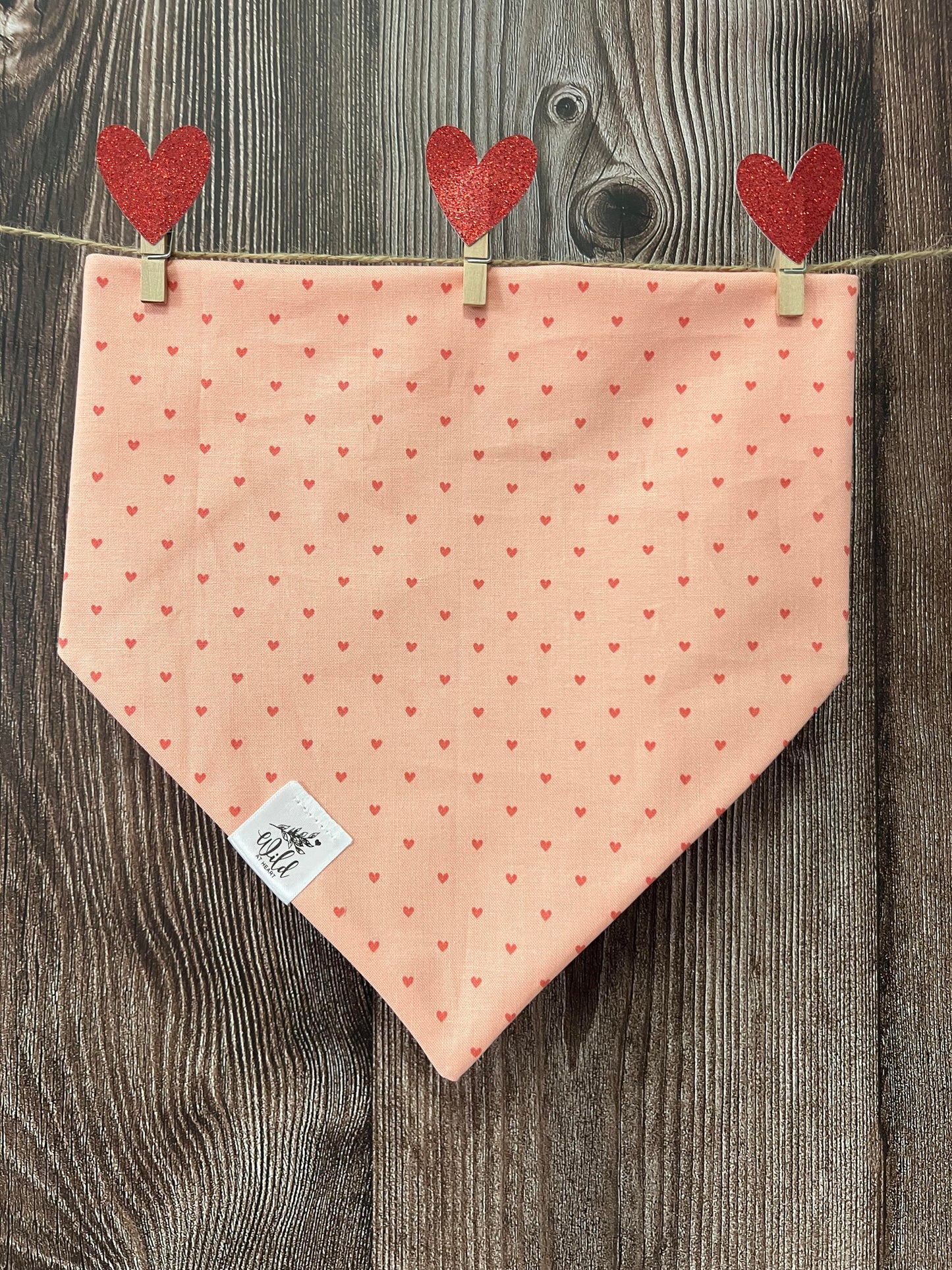 "Heart & Soul" Pet Bandana
