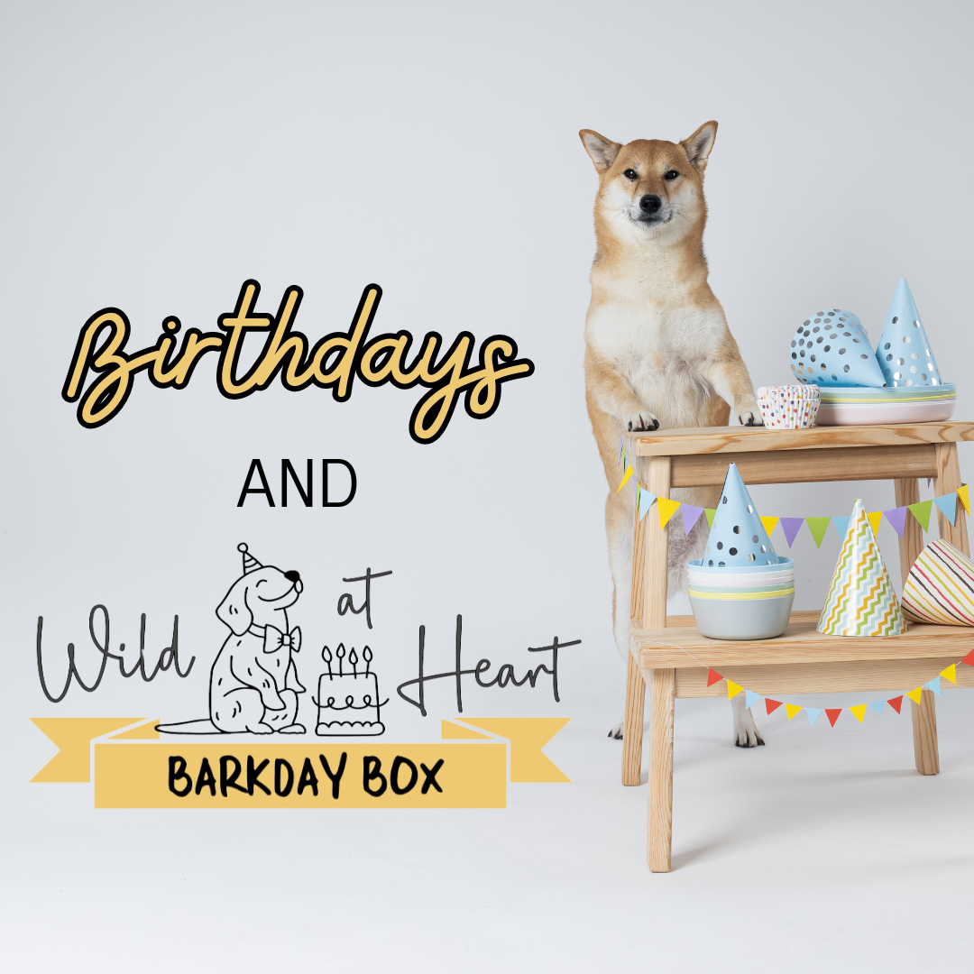 Birthdays & Barkday Boxes