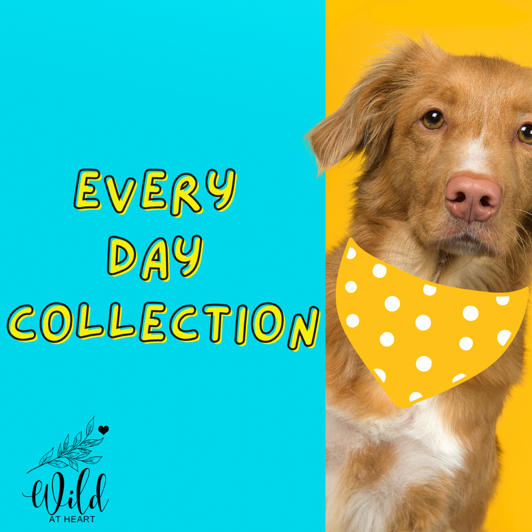 Everyday Collection – Page 4 – Wild at Heart
