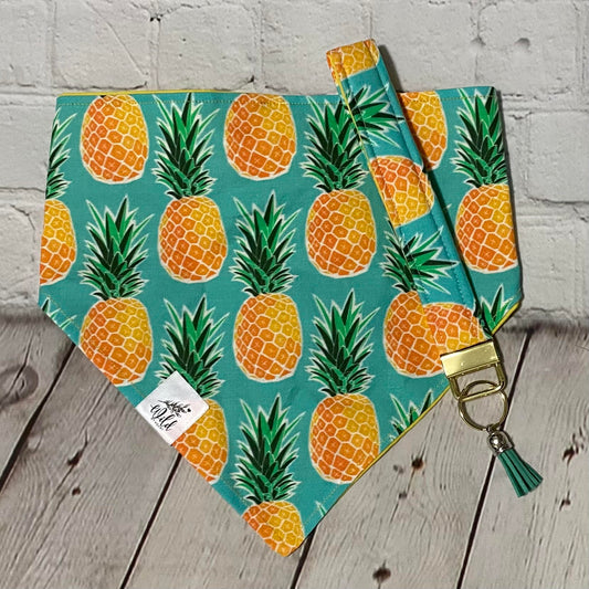 "Pineapple Paradise" Pet Bandana Combo