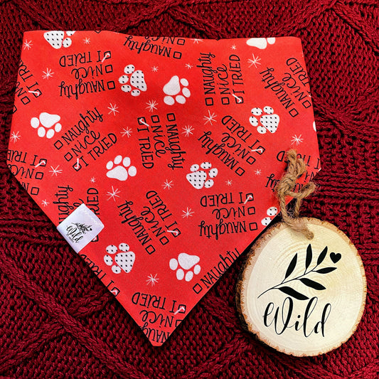 "Paws-itively Tried" Pet Bandana