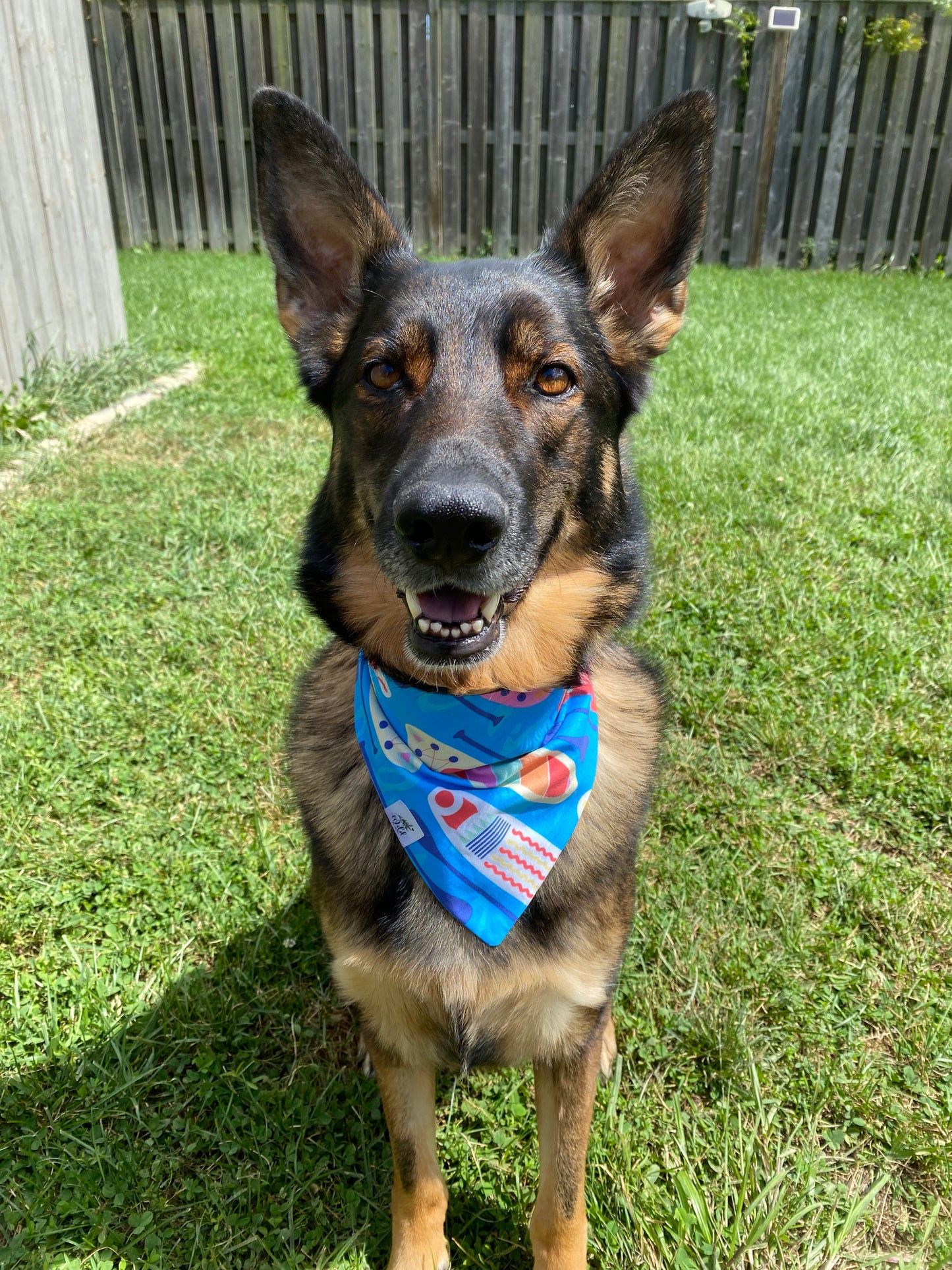 "PaddlePup Paradise" Pet Bandana