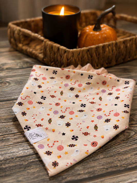 "Trick or Sweet" Pet Bandana