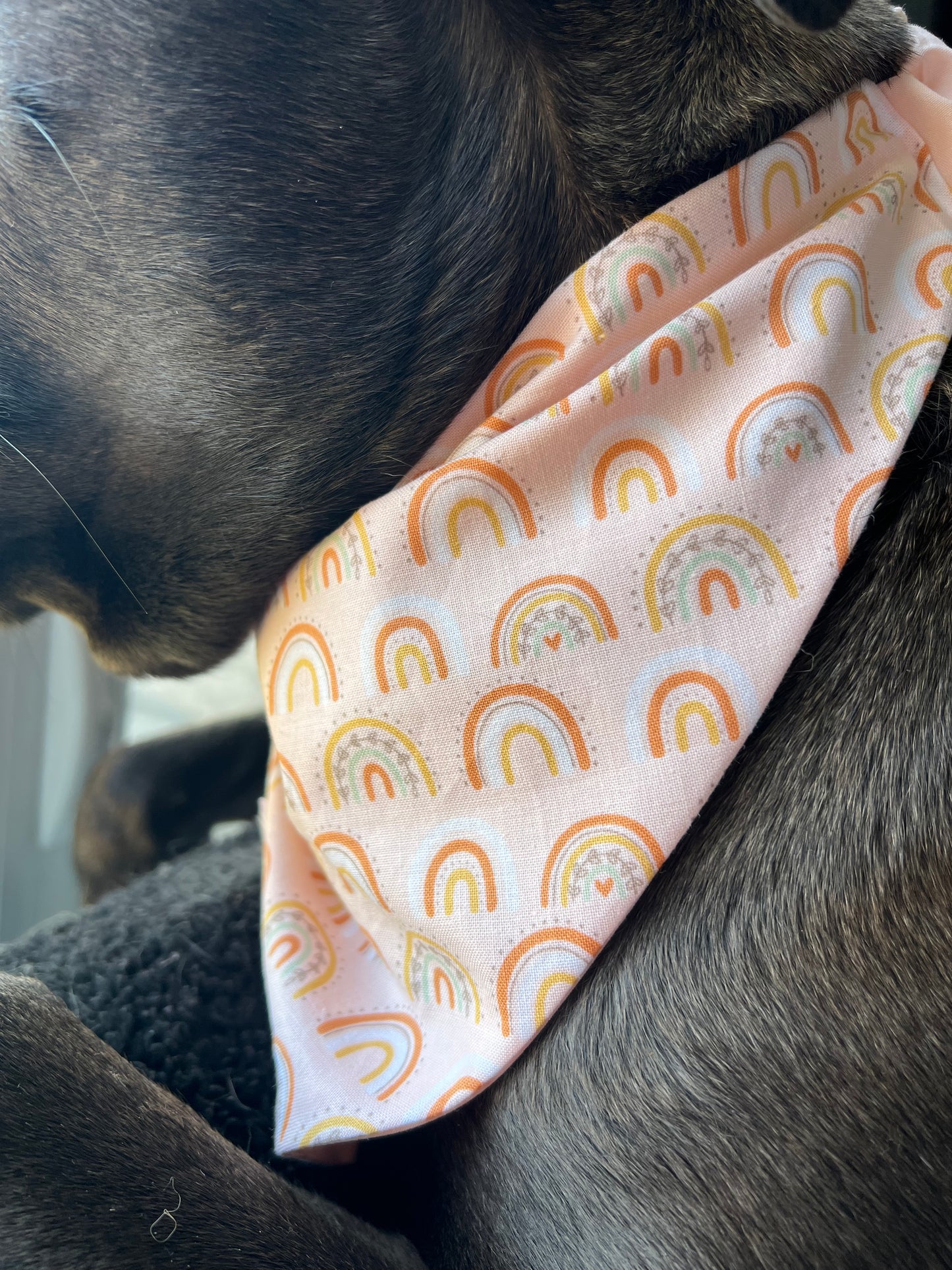 “Boho Bliss” Pet Bandana