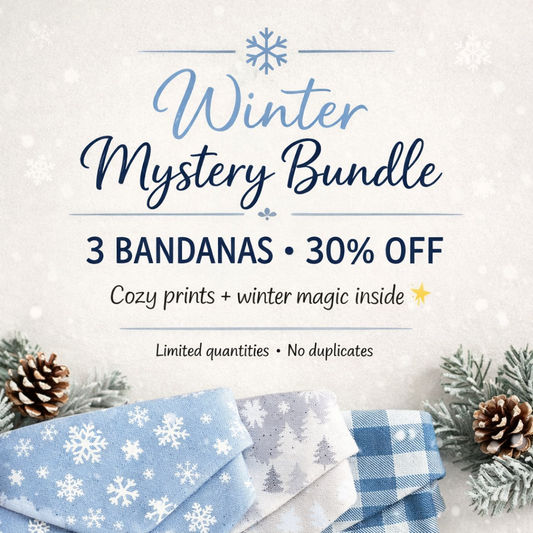 "Winter Bandana Bundle" 3-pack