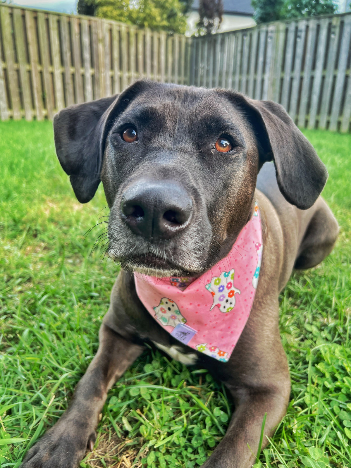 "Flower Child Phantom" Pet Bandana