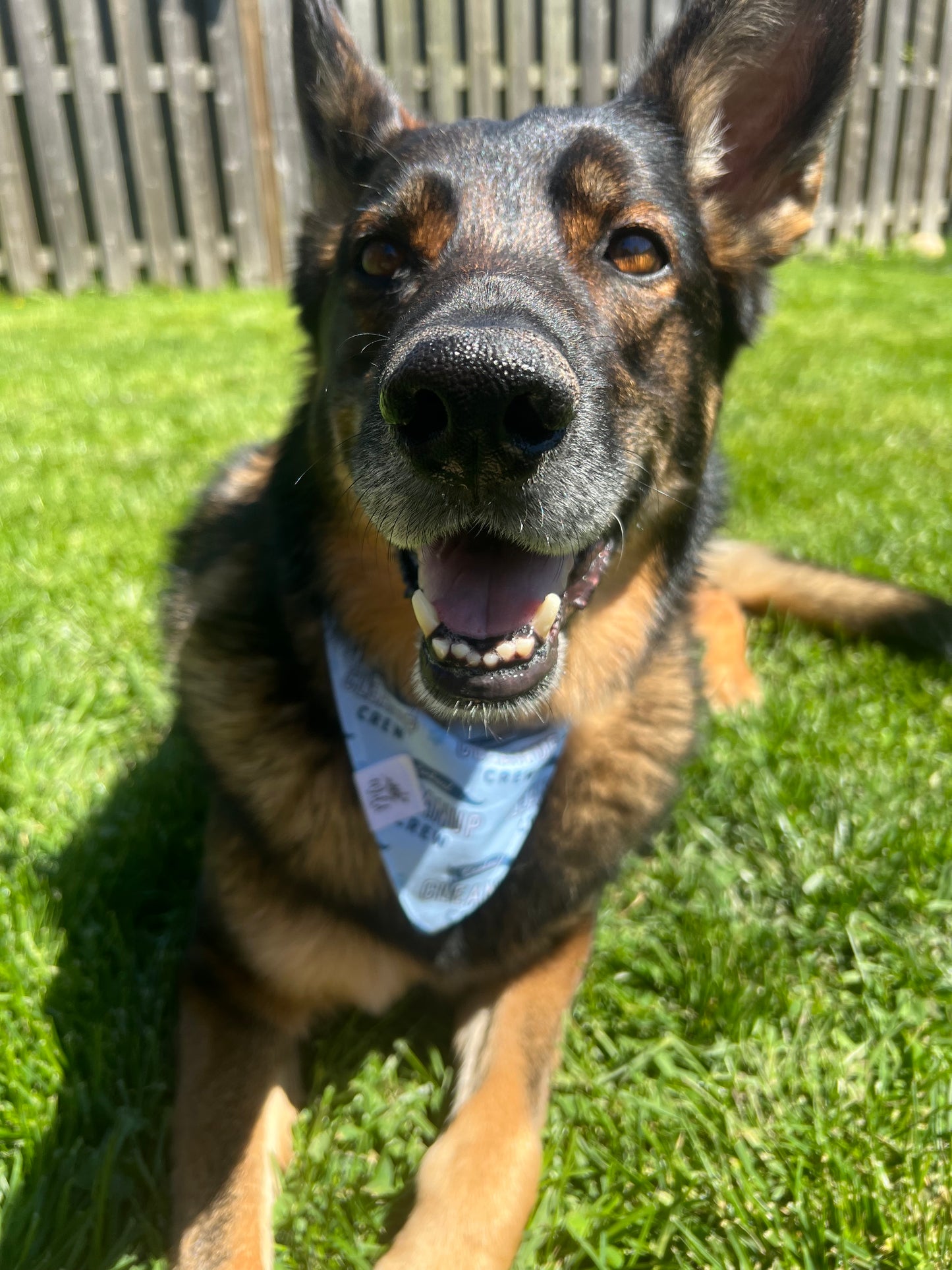 "Cleanup Crew" Pet Bandana