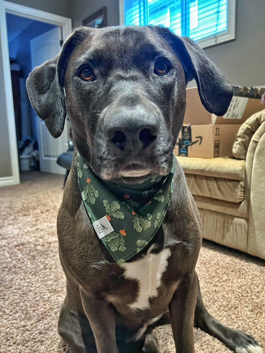 "Rooted & Radishing" Pet Bandana