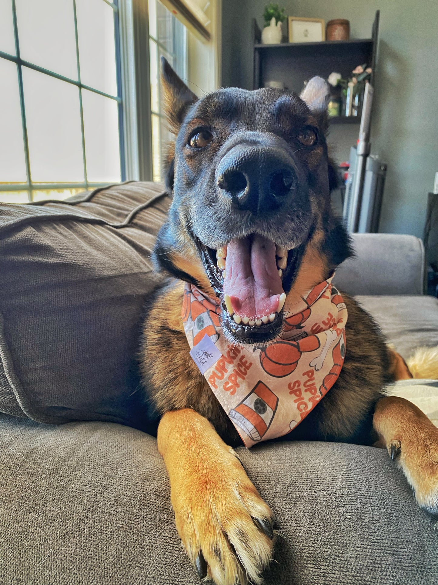 "Pupkin Spice Latte" Pet Bandana