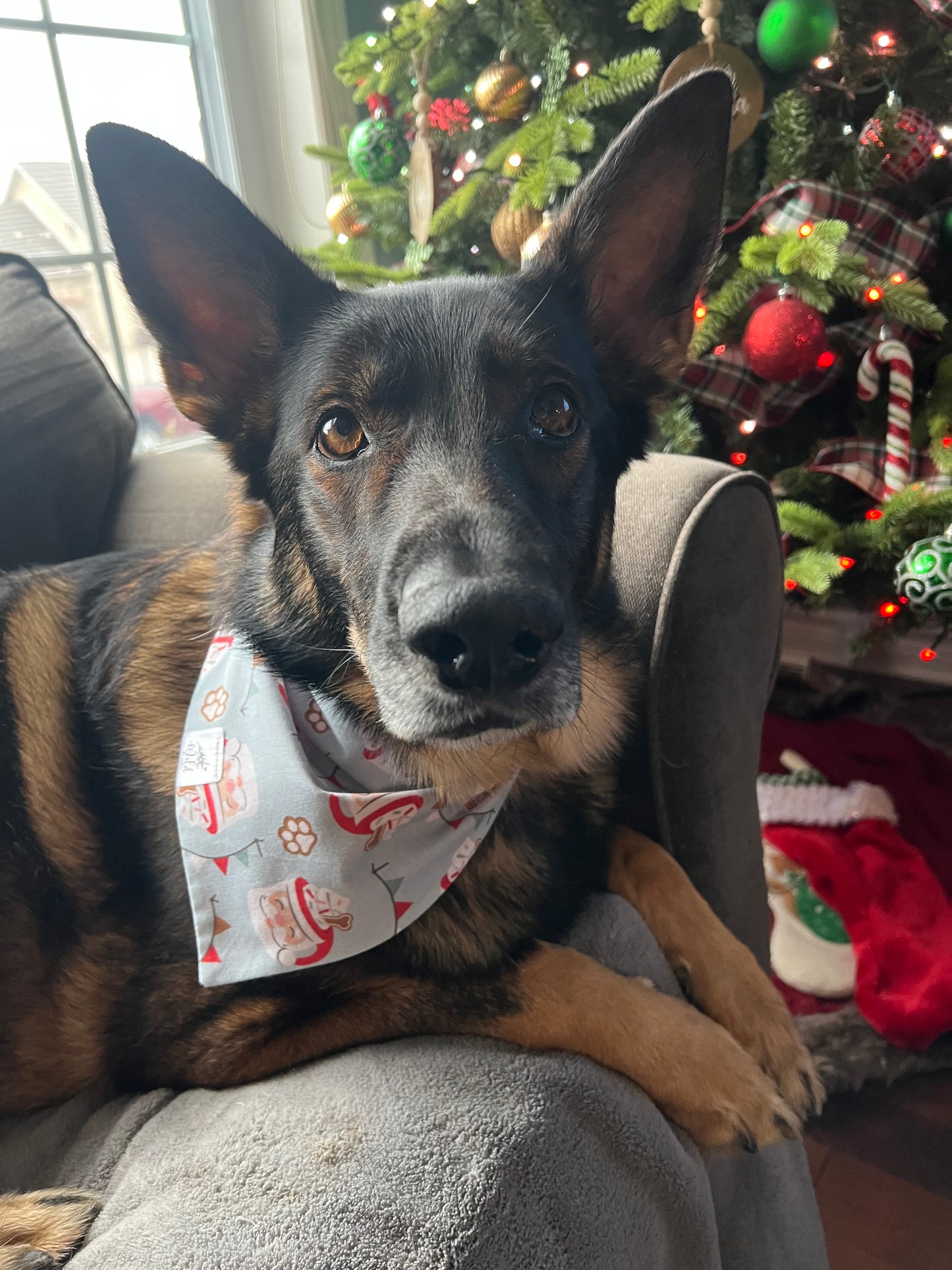 "Santa’s Pup-tastic Treats" Pet Bandana