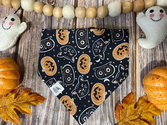 "Spooky Night Paws" Pet Bandana