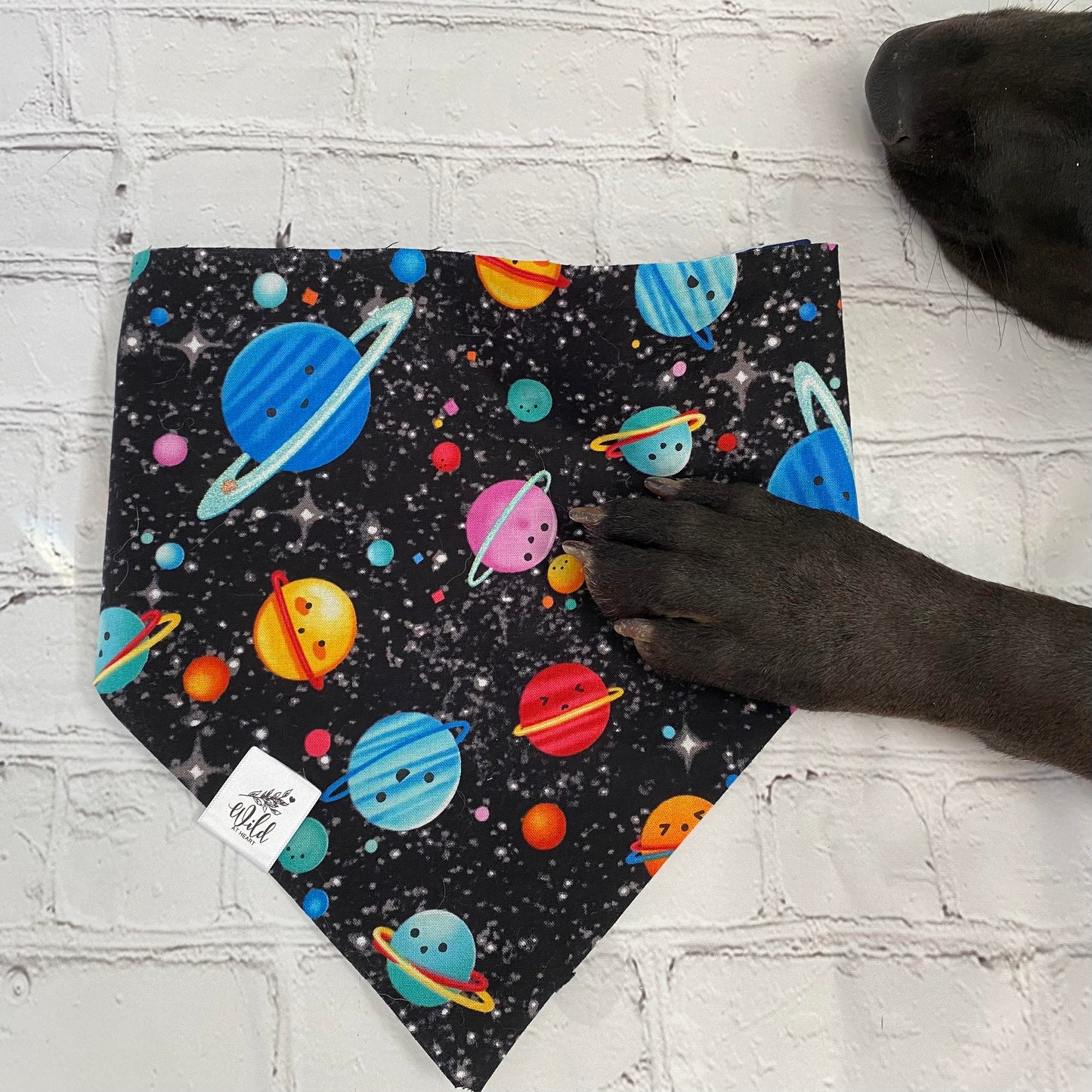 “Interstellar Smiles” Pet Bandana