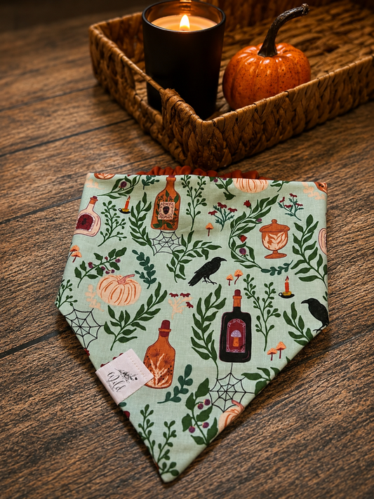 "Witching in the Wild" Pet Bandana