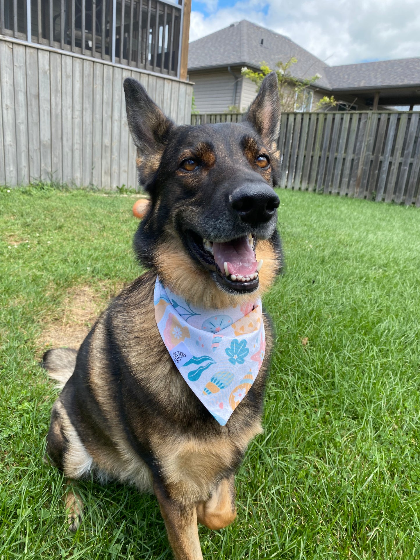 "Seaside Shells" Pet Bandana