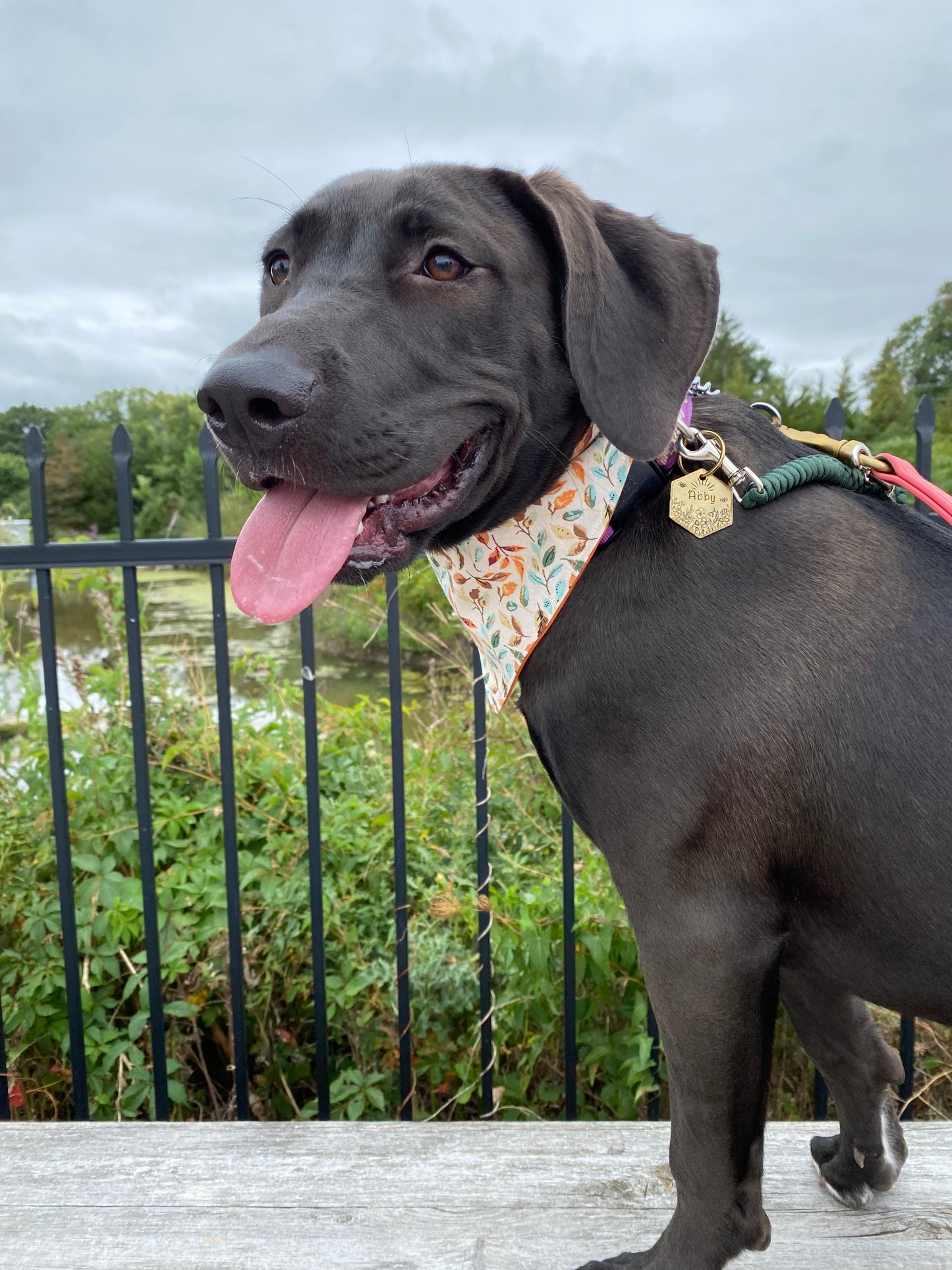 "Falling Leaves" Pet Bandana