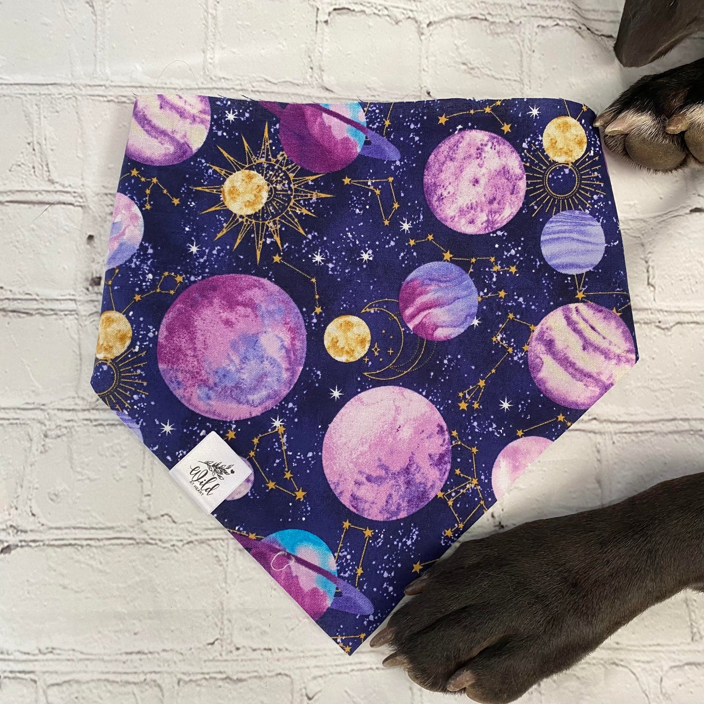 “Galactic Dreamscape” Pet Bandana