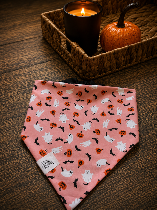 "Scaredy Cats" Pet Bandana