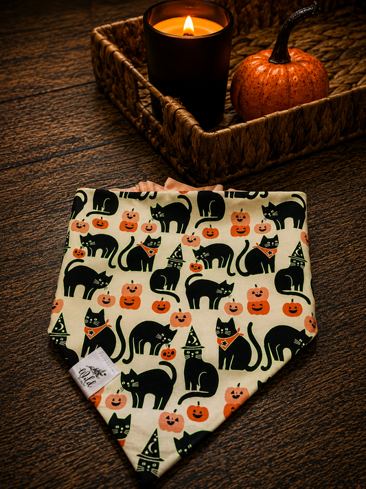 "After Dark" Pet Bandana
