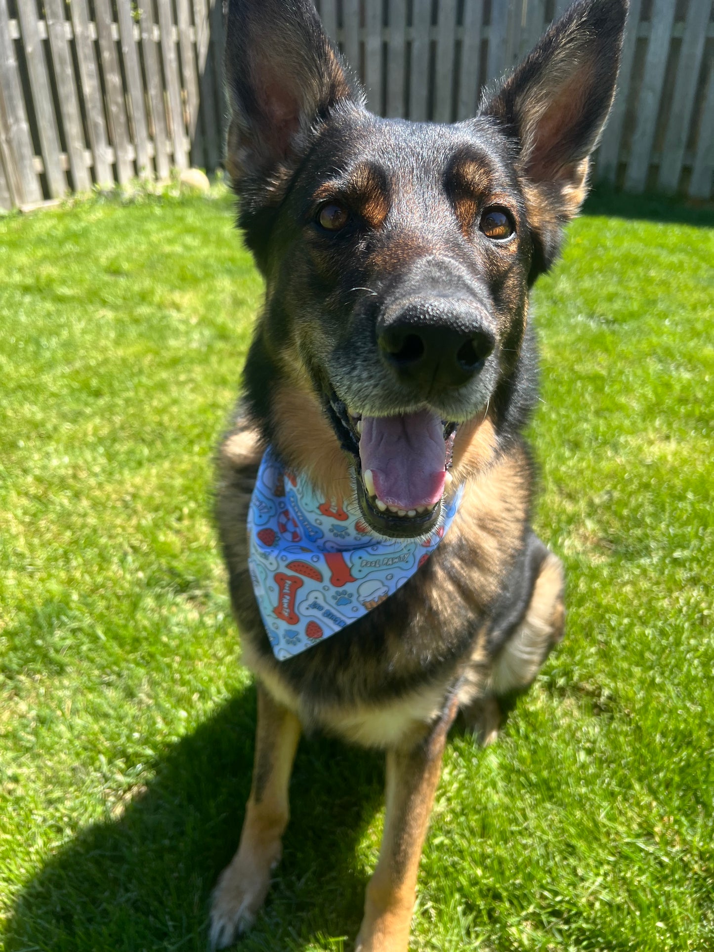 "Pool Party Pup" Pet Bandana