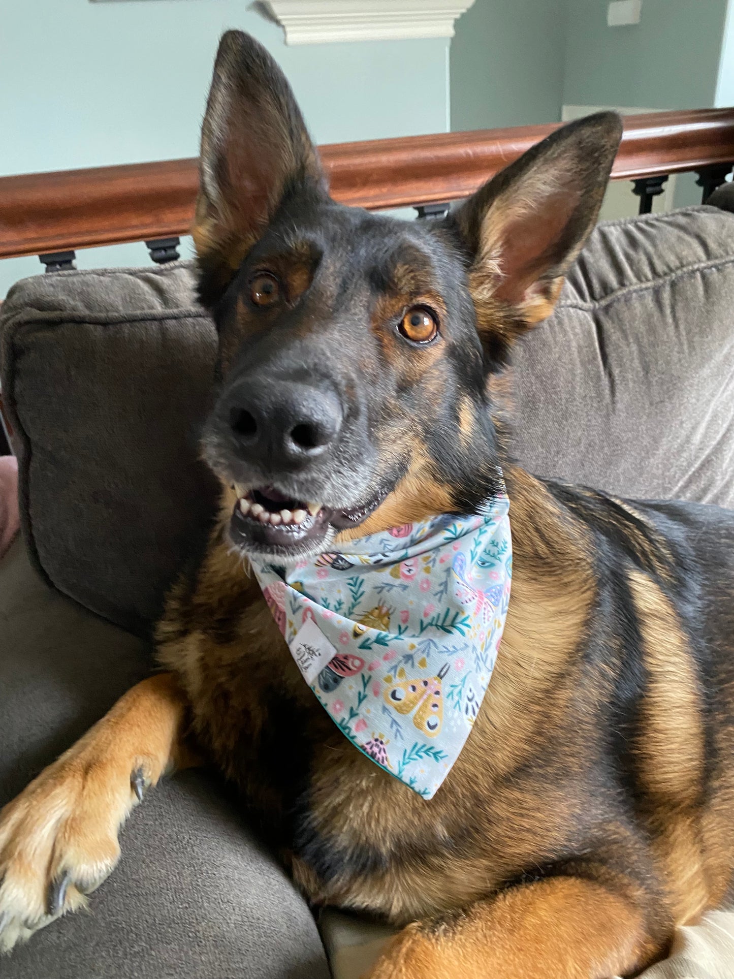 "Flora Flutter" Pet Bandana