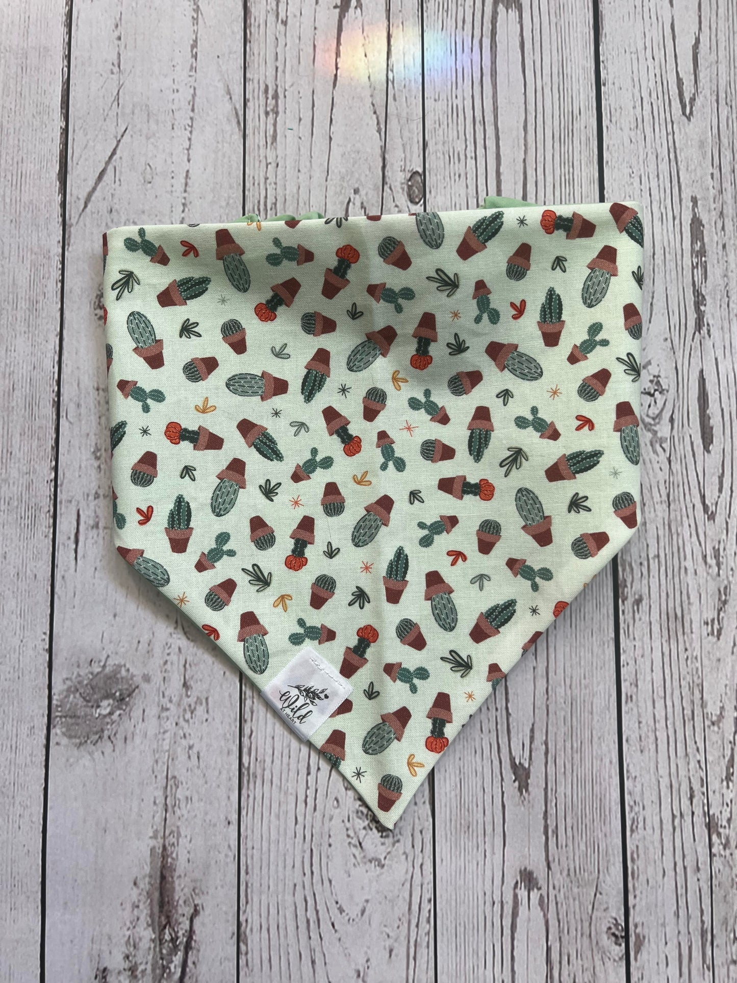 “Springtime Sprouts” Pet Bandana