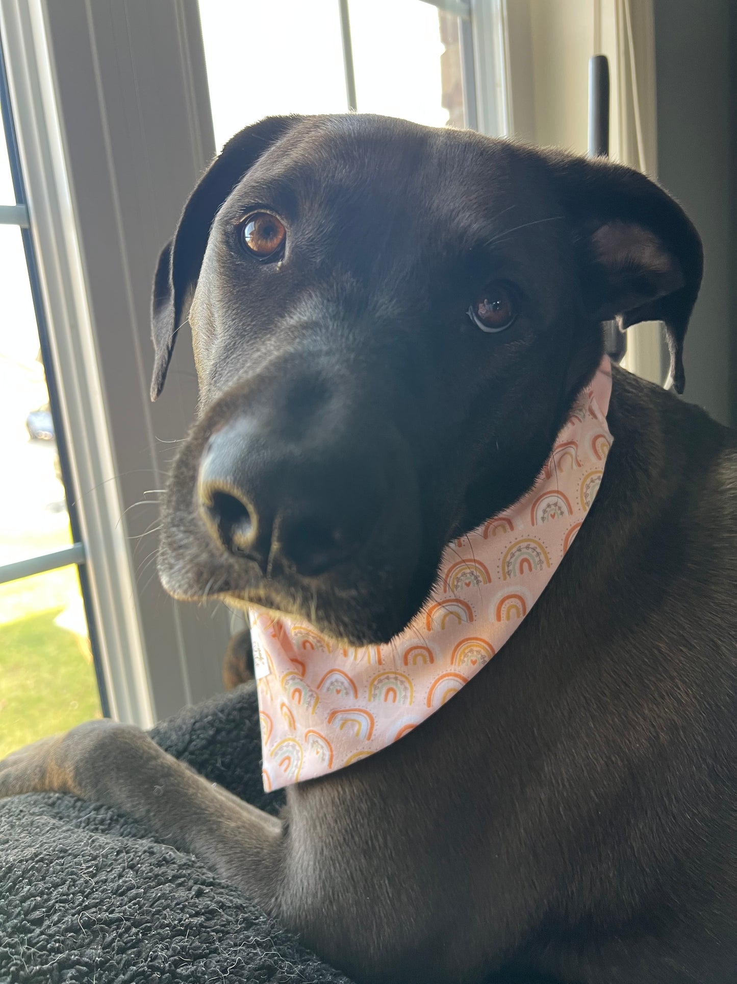 “Boho Bliss” Pet Bandana