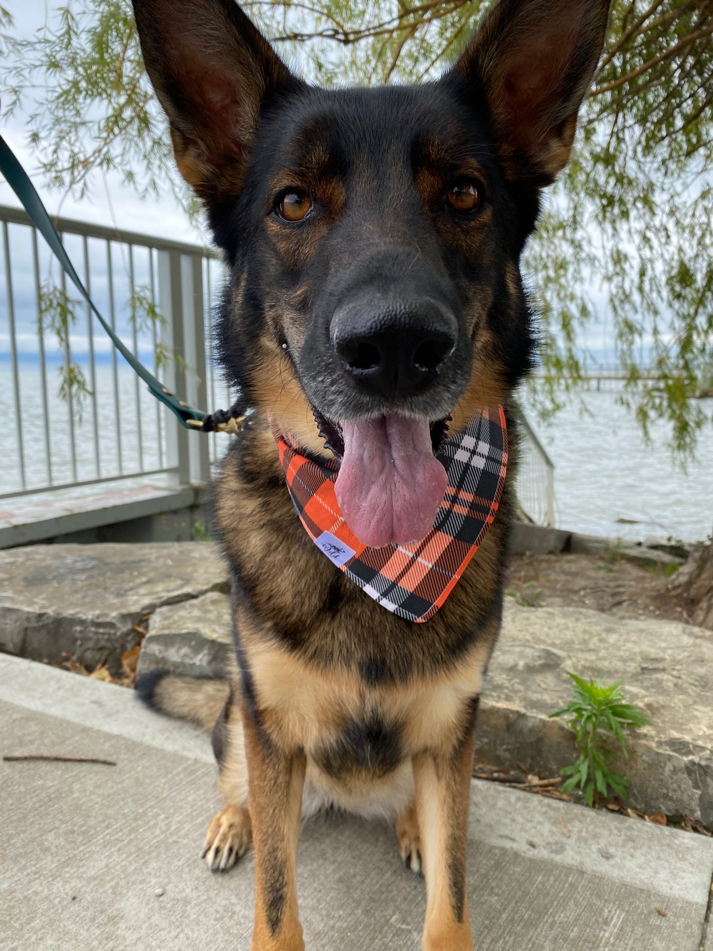 "Autumn Twilight Plaid" Pet Bandana