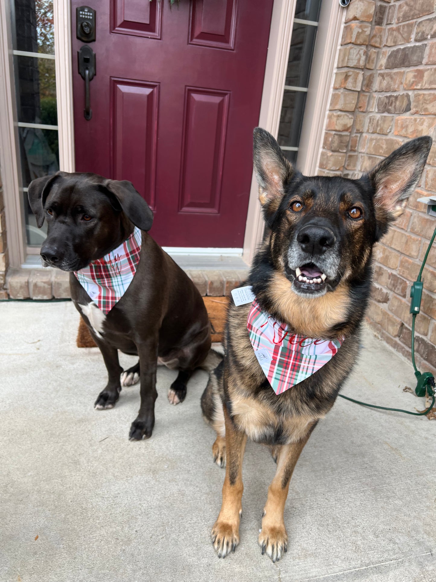 “Christmas Plaid” Pet Bandana Set
