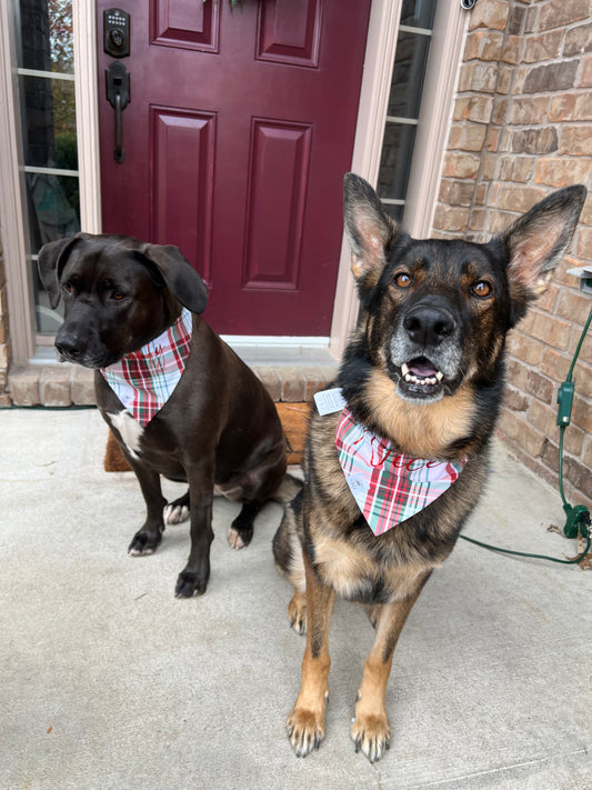 “Christmas Plaid” Pet Bandana Set