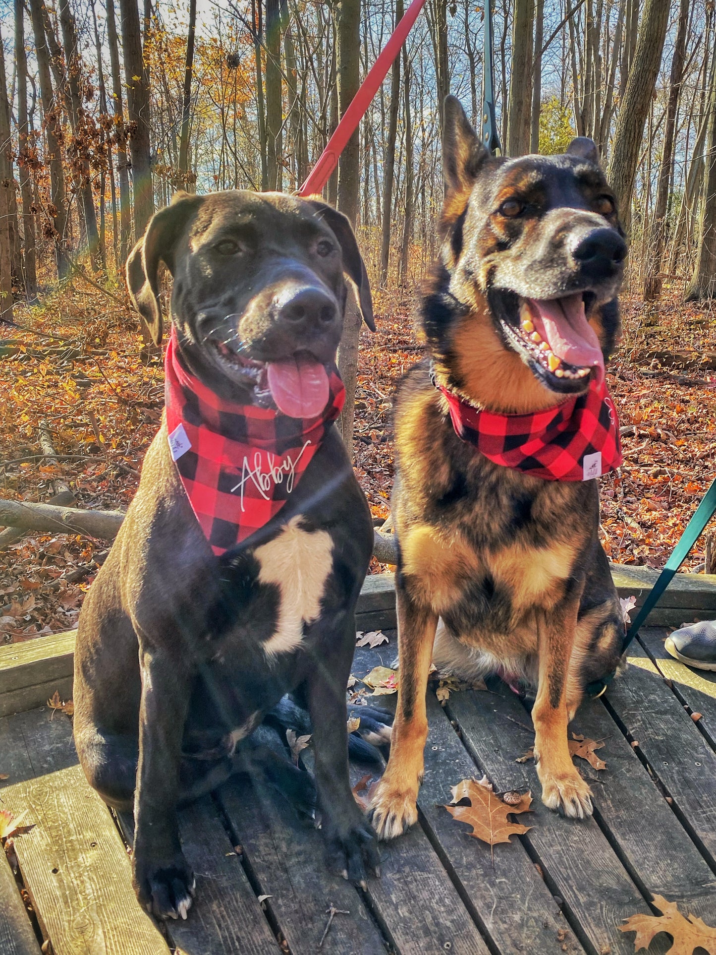 "Rustic Red Rover" Pet Bandana