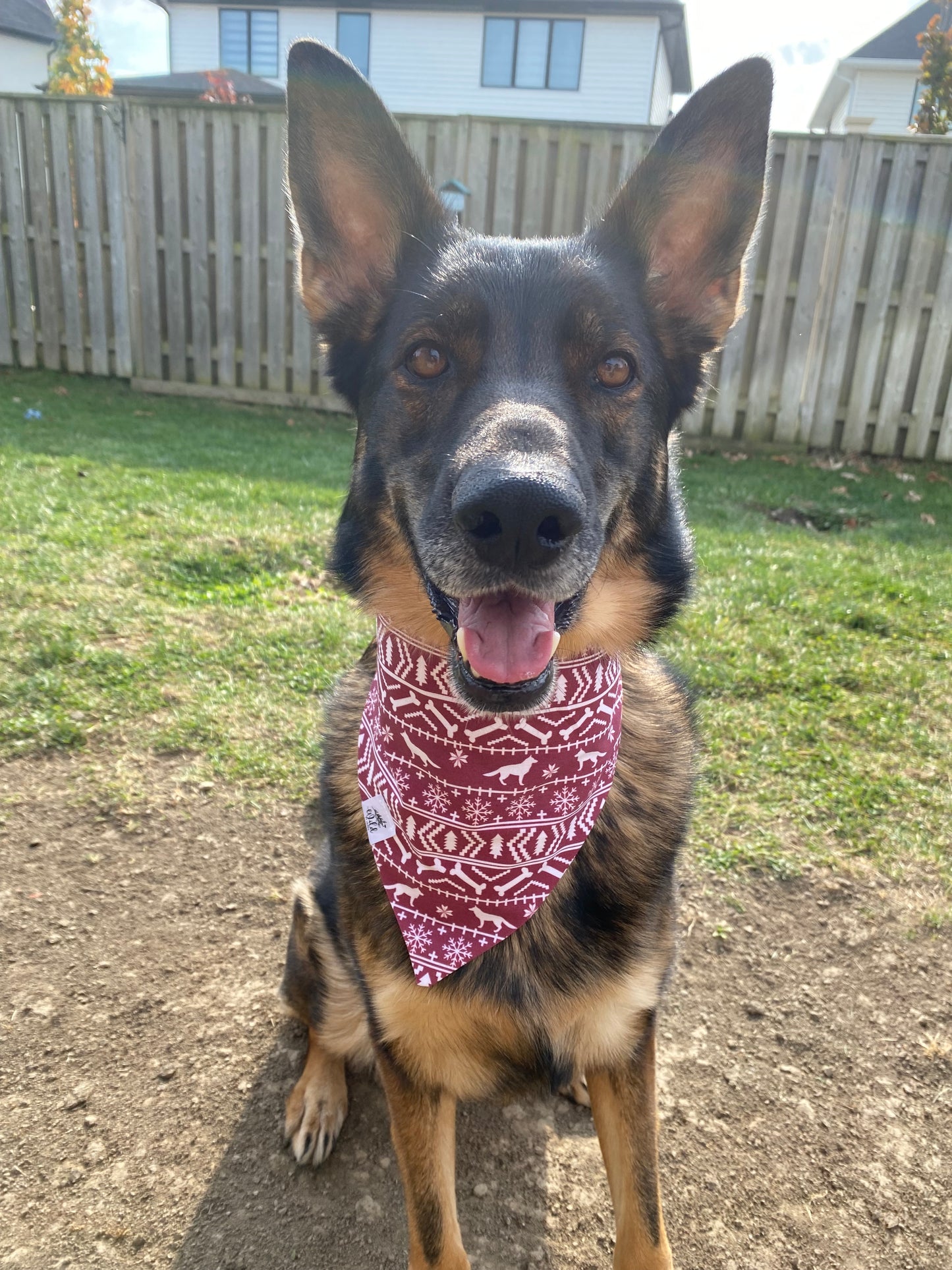 "Shepherd’s Fair Isle" Pet Bandana