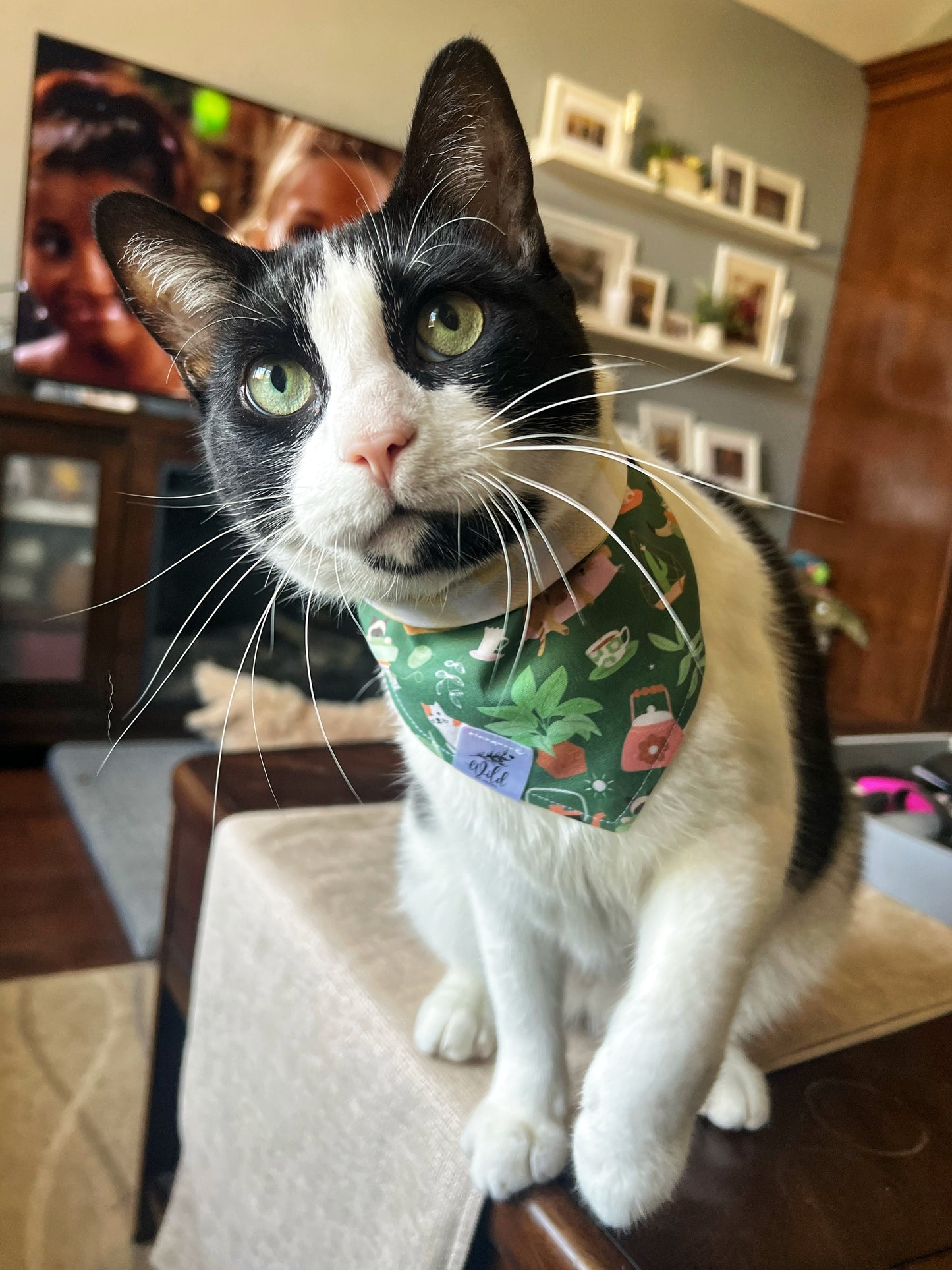 "Cozy Critter Cottage" Reversible Pet Bandana