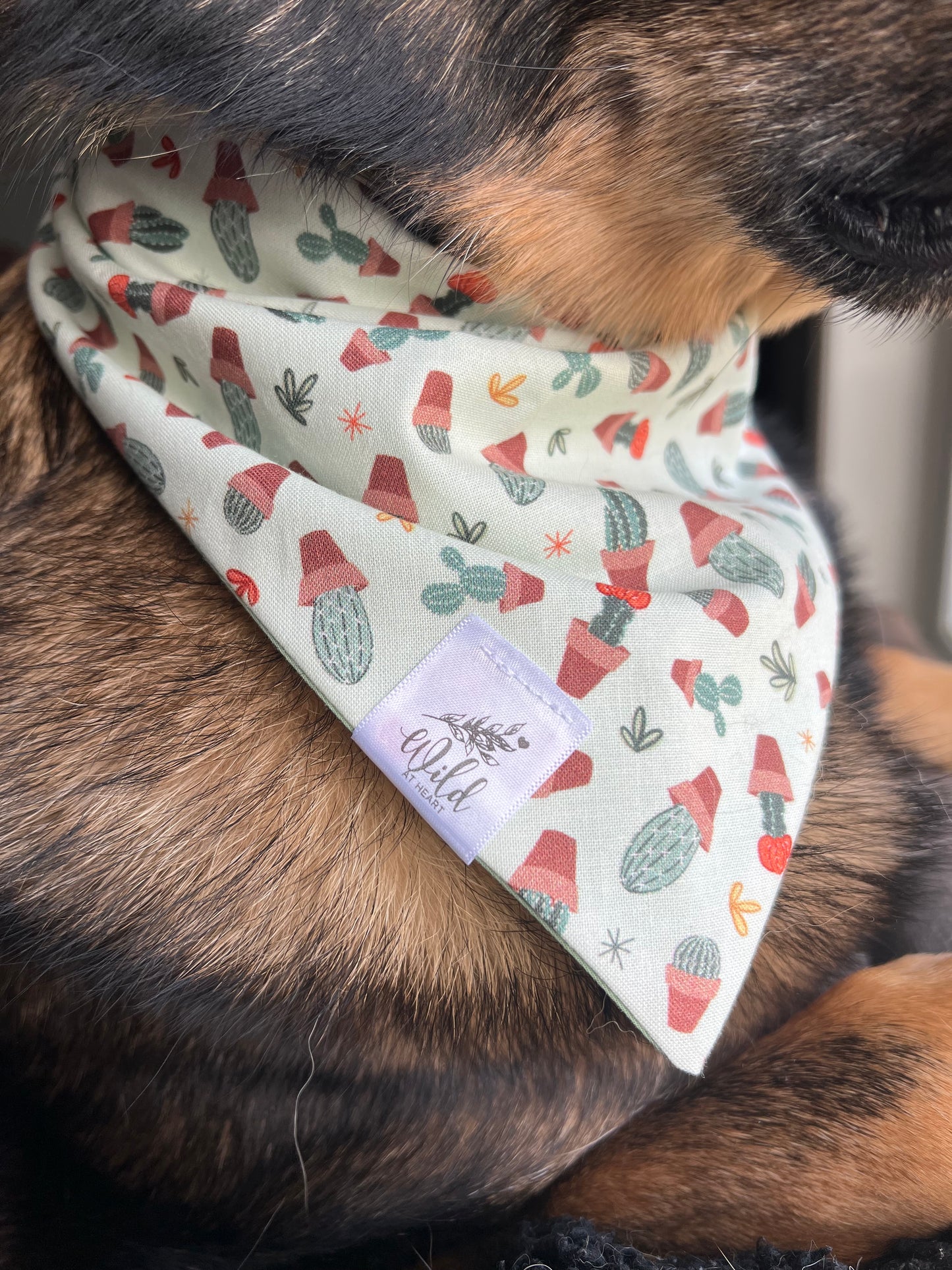 “Springtime Sprouts” Pet Bandana