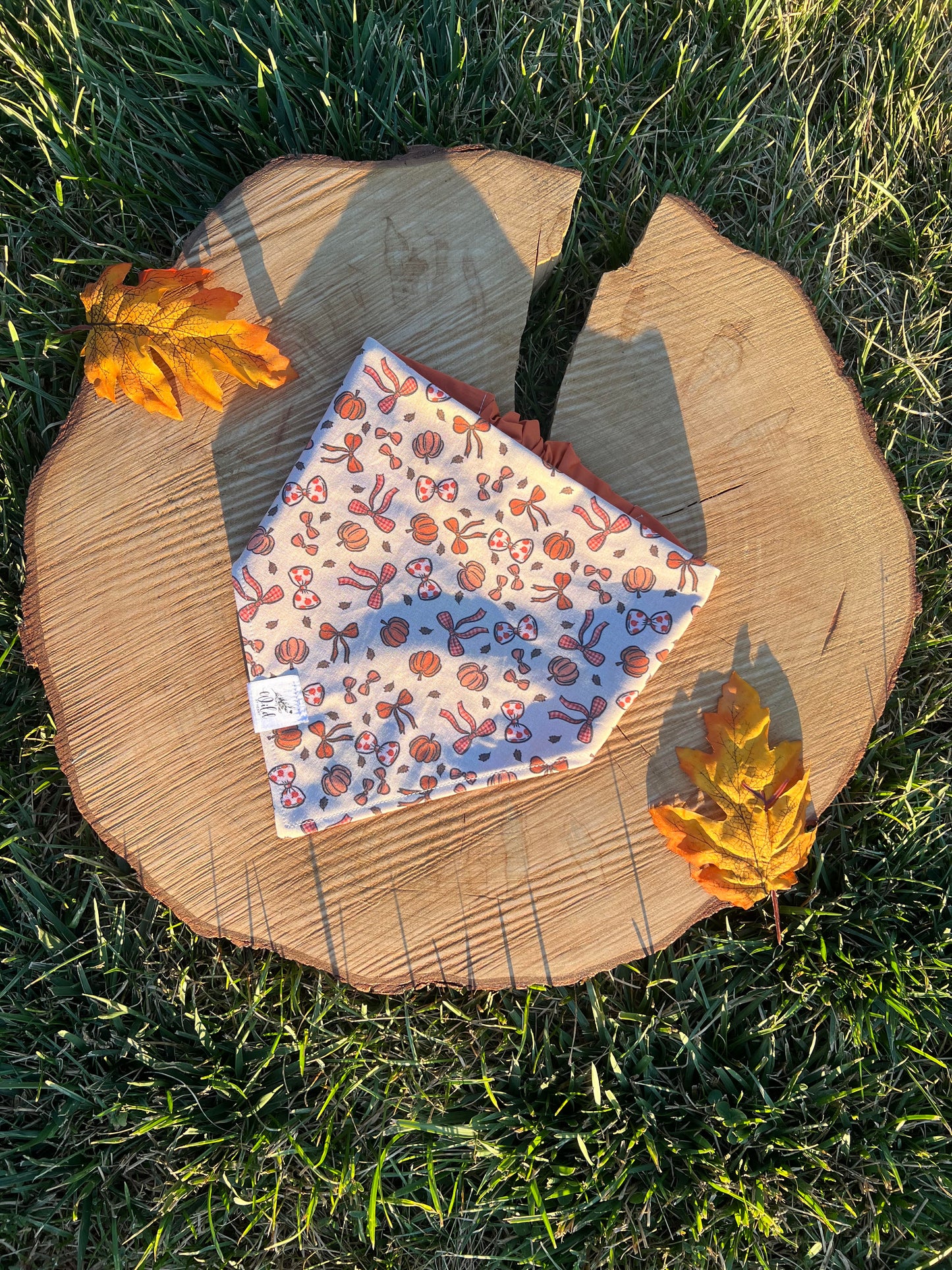 "Autumn Charm" Pet Bandana