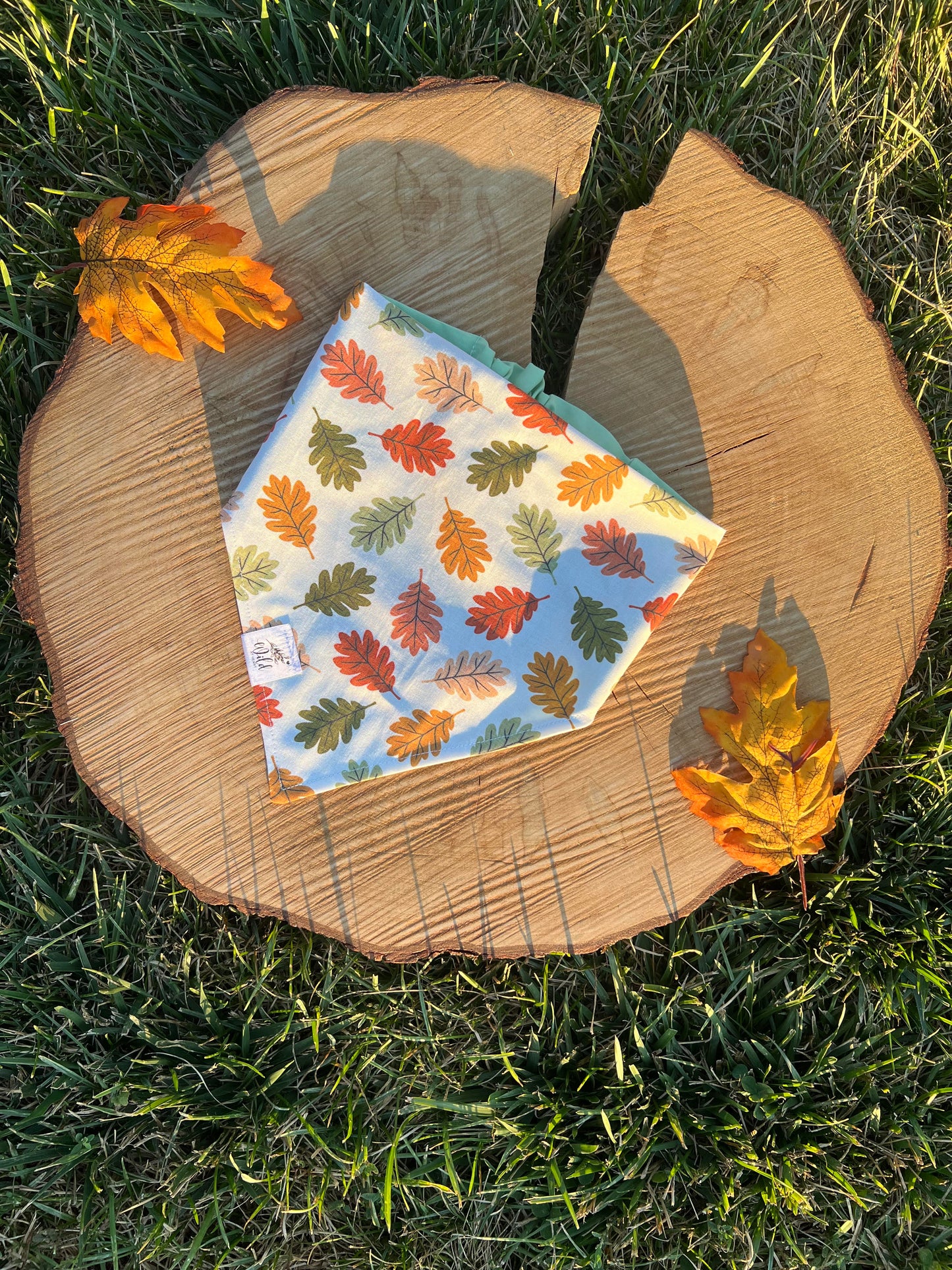 "Autumn Drift" Pet Bandana