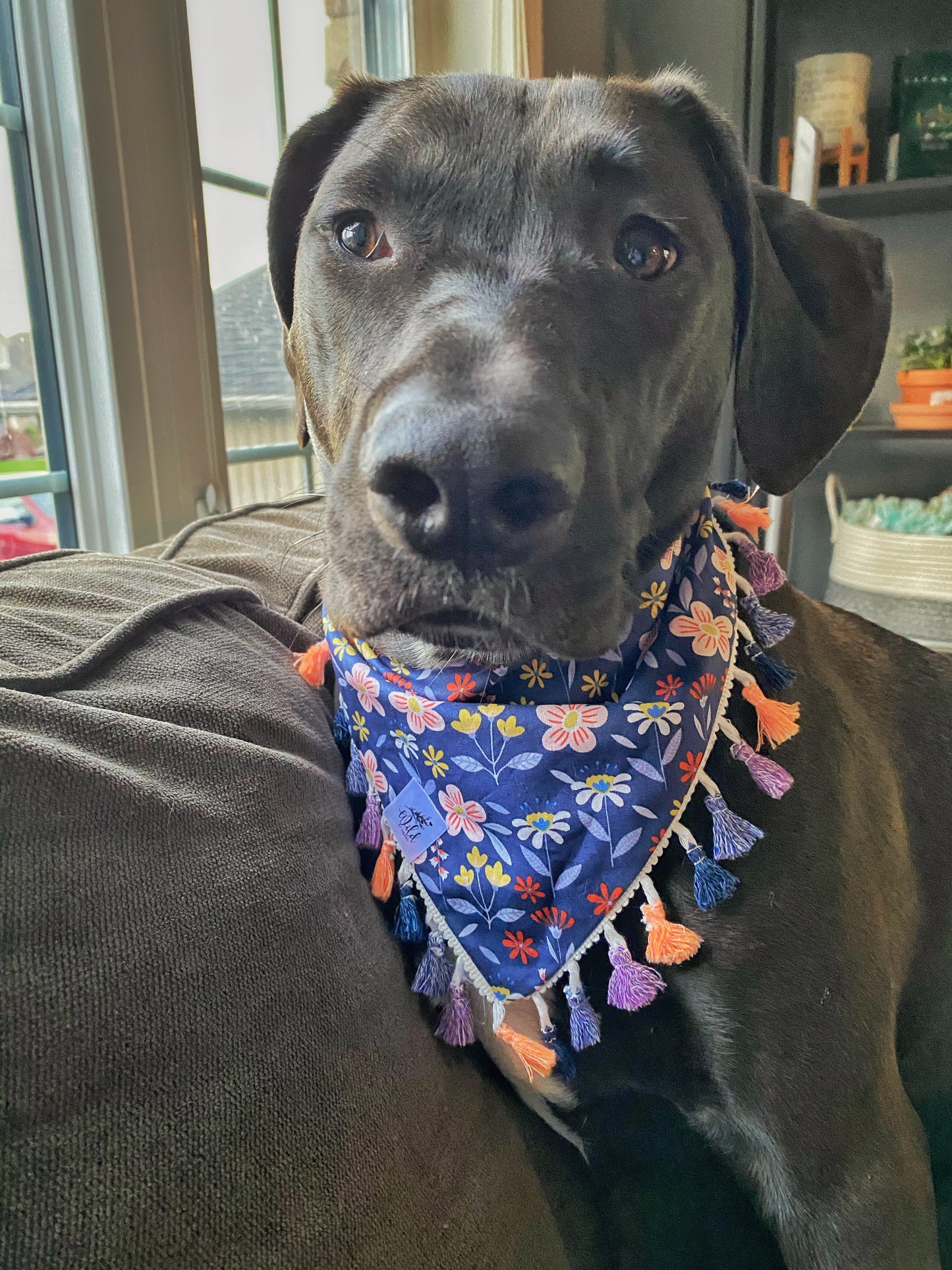 "May Flowers" Pet Bandana