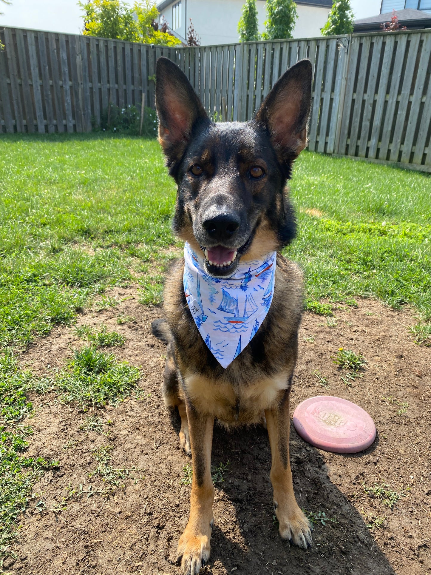 "Nautical Breeze” Reversible Pet Bandana