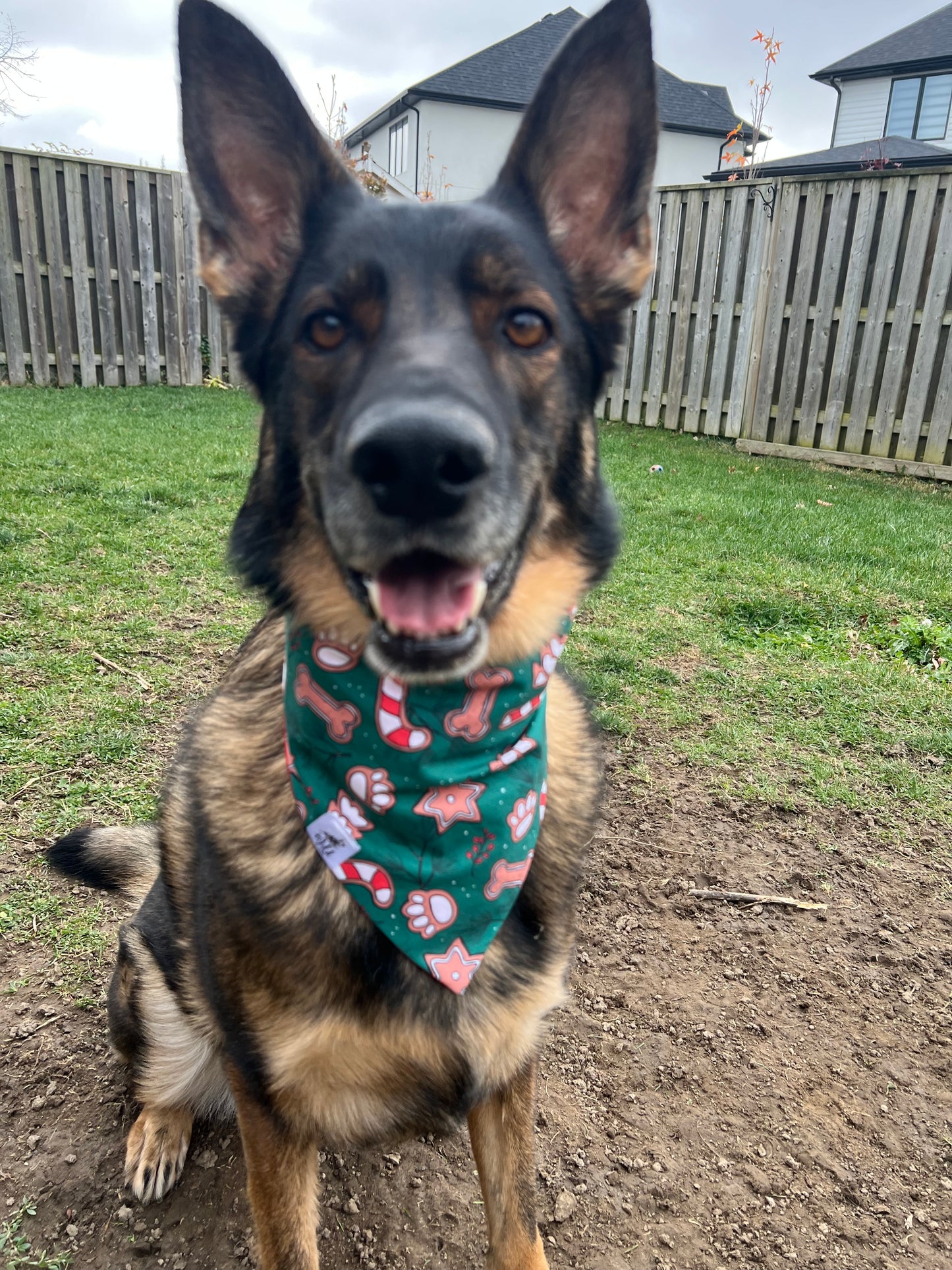 "Gingerbread Pup-licious" Pet Bandana