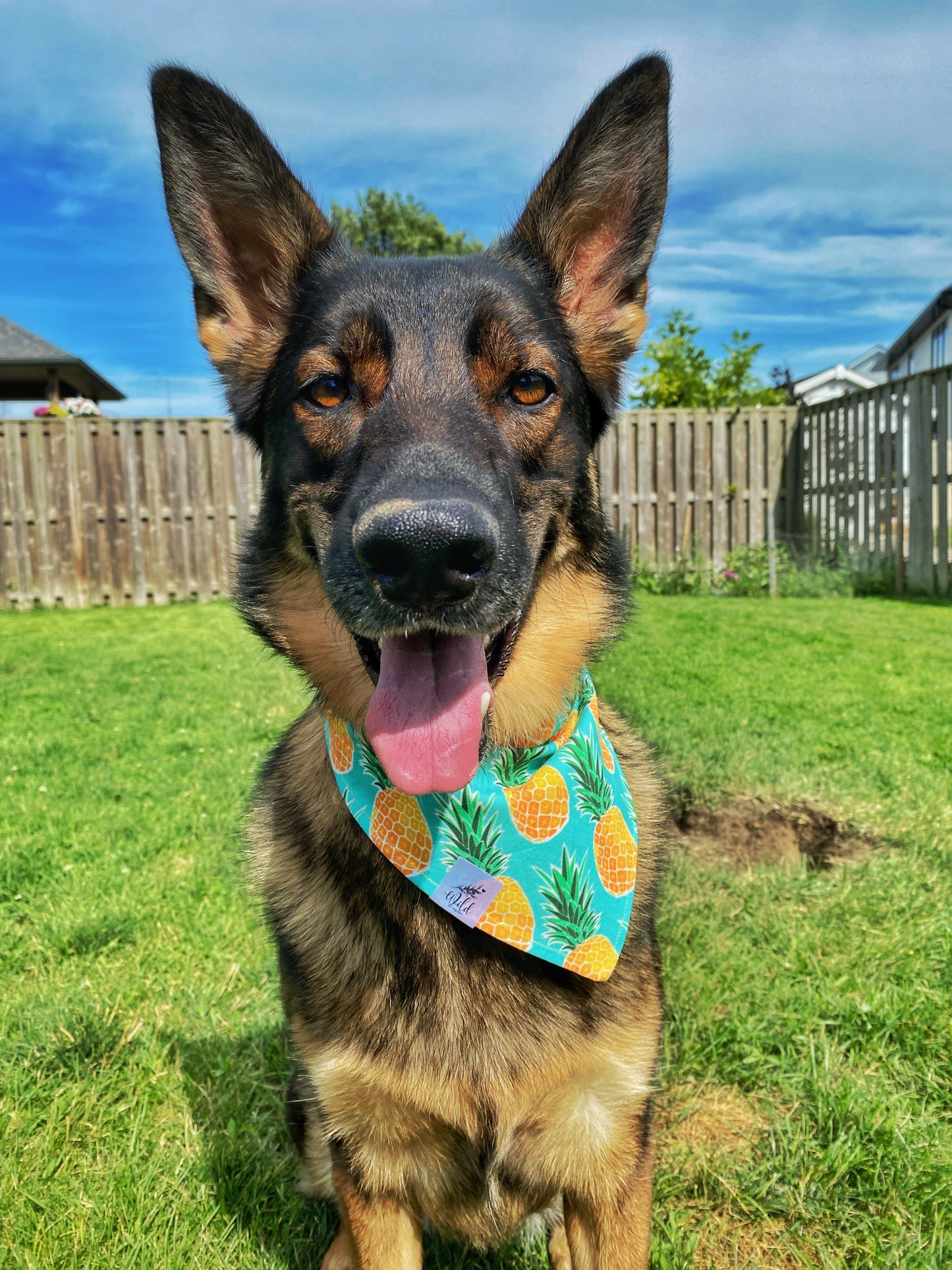 "Pineapple Paradise" Pet Bandana